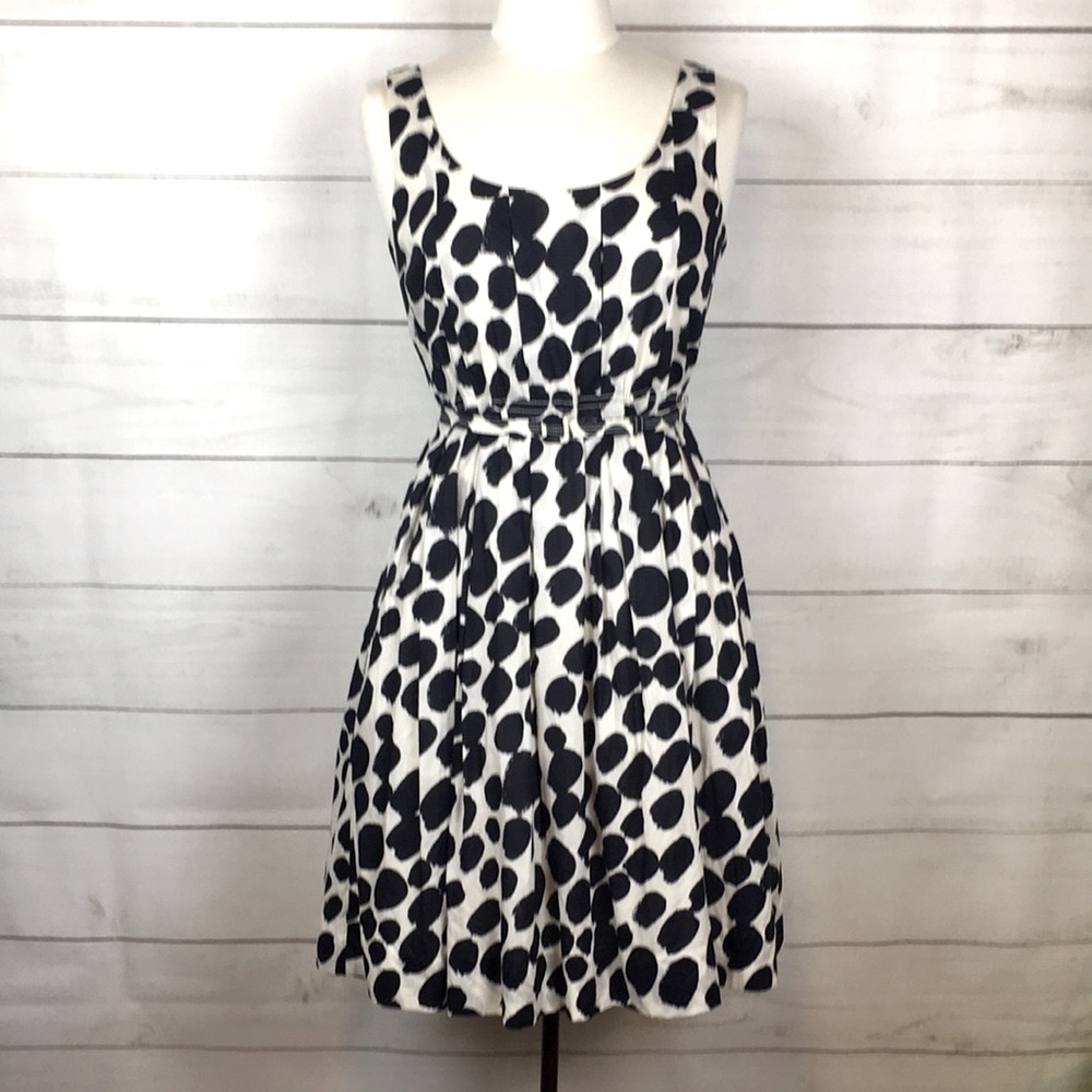 J. Crew Spotted Belted Dress Cream Navy 6